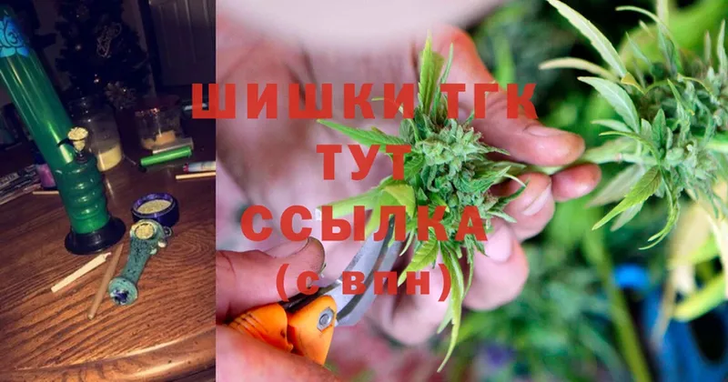 купить   Александров  Канабис OG Kush 